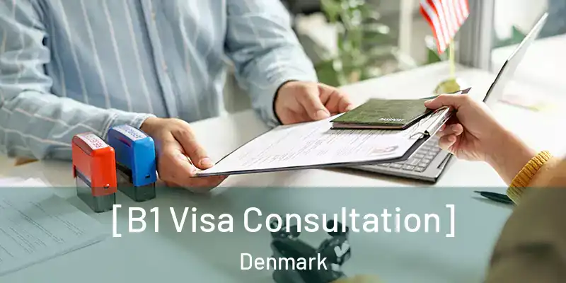  [B1 Visa Consultation] Denmark